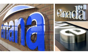 dịch vụ thi công chữ nổi